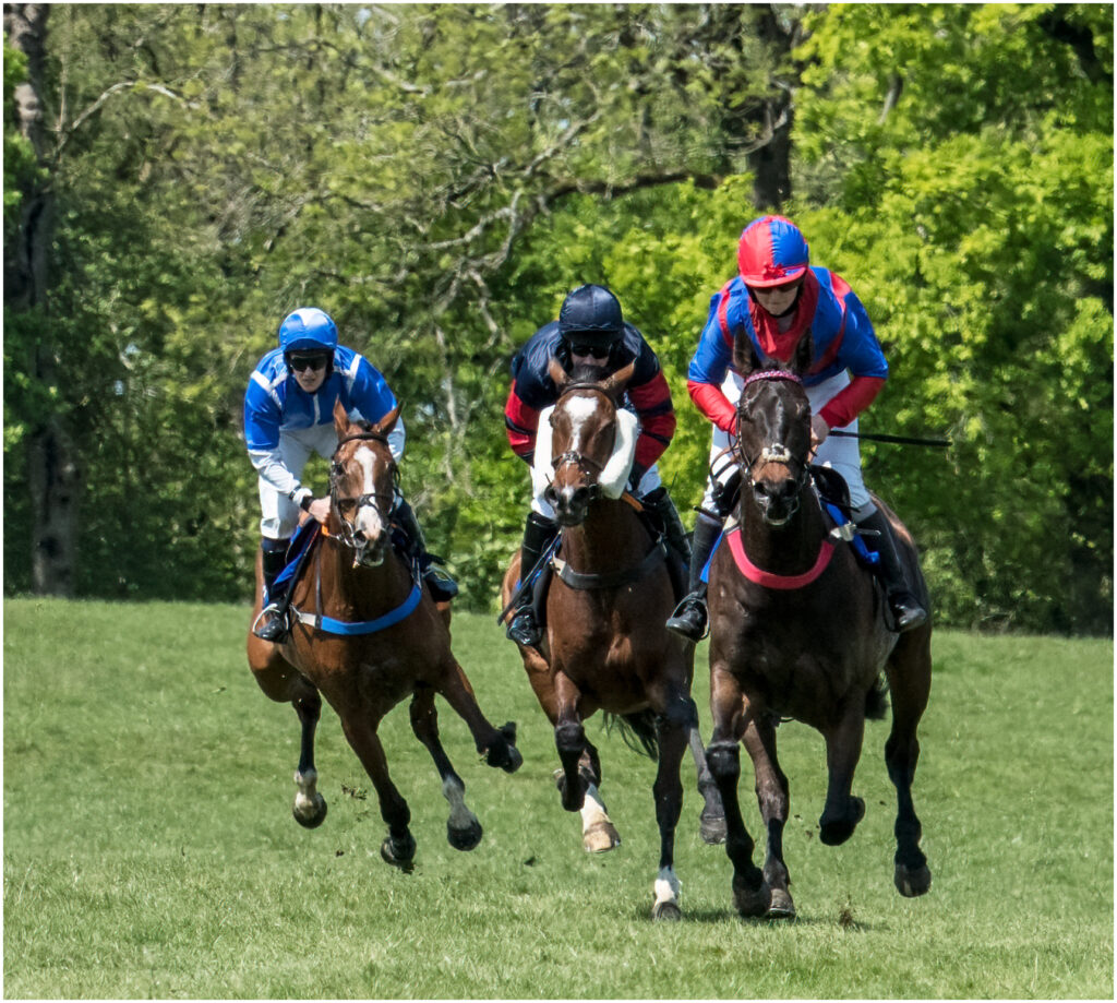 Bonviston point to point (May 2022) - 1 of 6 by Chris Chinnick