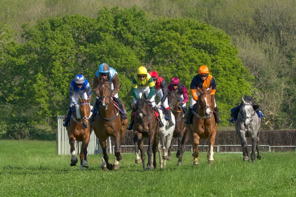 Bonviston point to point (May 2022) - 1 of 8 by Trevor Waller