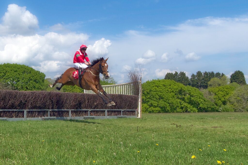 Bonviston point to point (May 2022) - 2 of 8 by Trevor Waller
