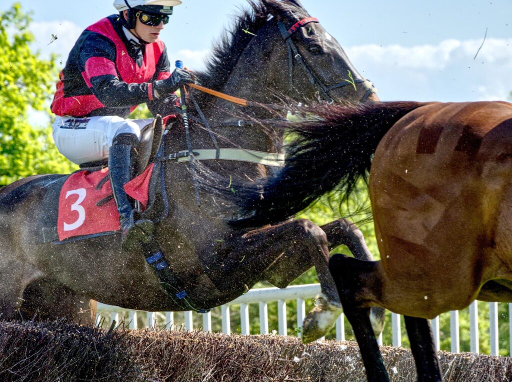 Bonviston point to point (May 2022) - 3 of 8 by Trevor Waller