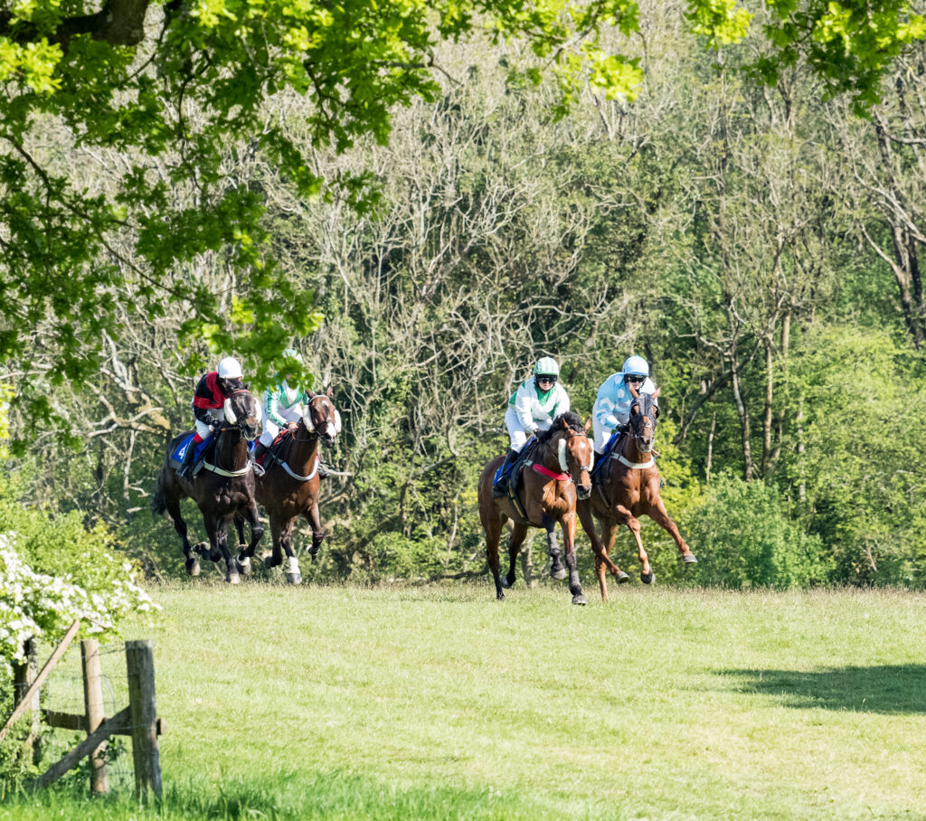 Bonviston point to point (May 2022) - 4 of 6 by Chris Chinnick