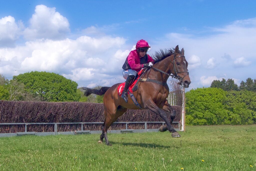 Bonviston point to point (May 2022) - 4 of 8 by Trevor Waller