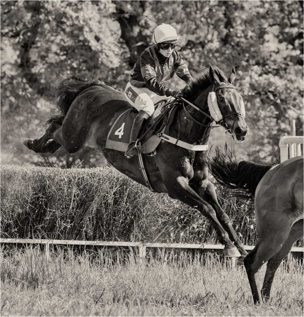 Bonviston point to point (May 2022) - 5 of 6 by Chris Chinnick