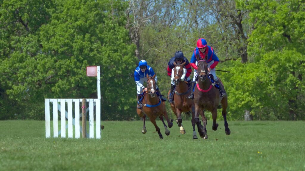 Bonviston point to point (May 2022) - 5 of 8 by Trevor Waller
