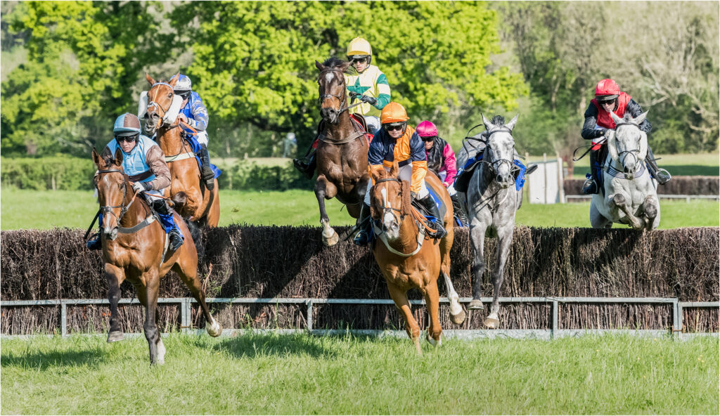 Bonviston point to point (May 2022) - 6 of 6 by Chris Chinnick