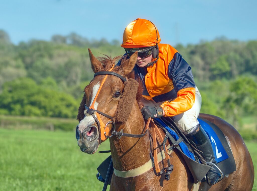 Bonviston point to point (May 2022) - 6 of 8 by Trevor Waller