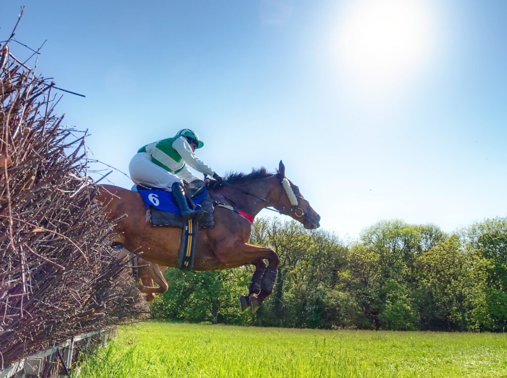 Bonviston point to point (May 2022) - 7 of 8 by Trevor Waller