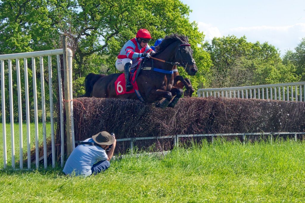 Bonviston point to point (May 2022) - Chris by Trevor Waller