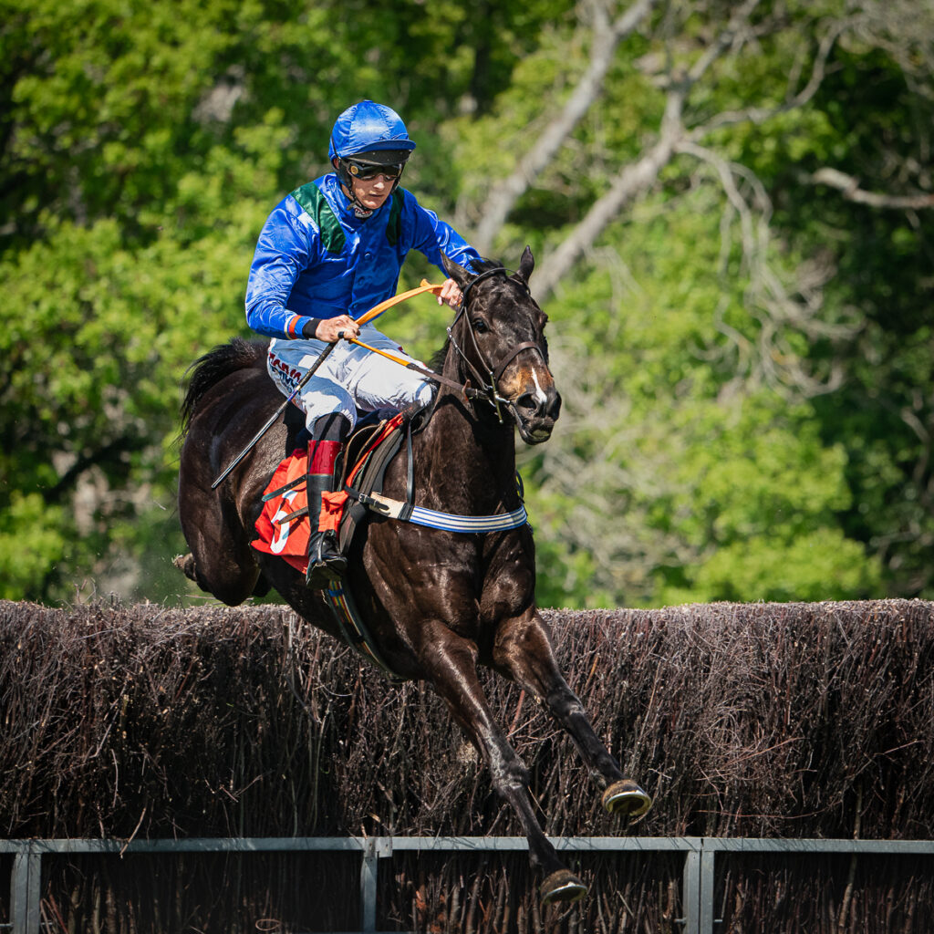 Bonviston point to point (May 2022) - Jumping the sticks by Niall