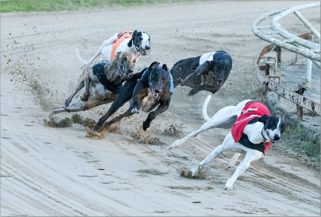 Round the Bend by Chris Chinnick