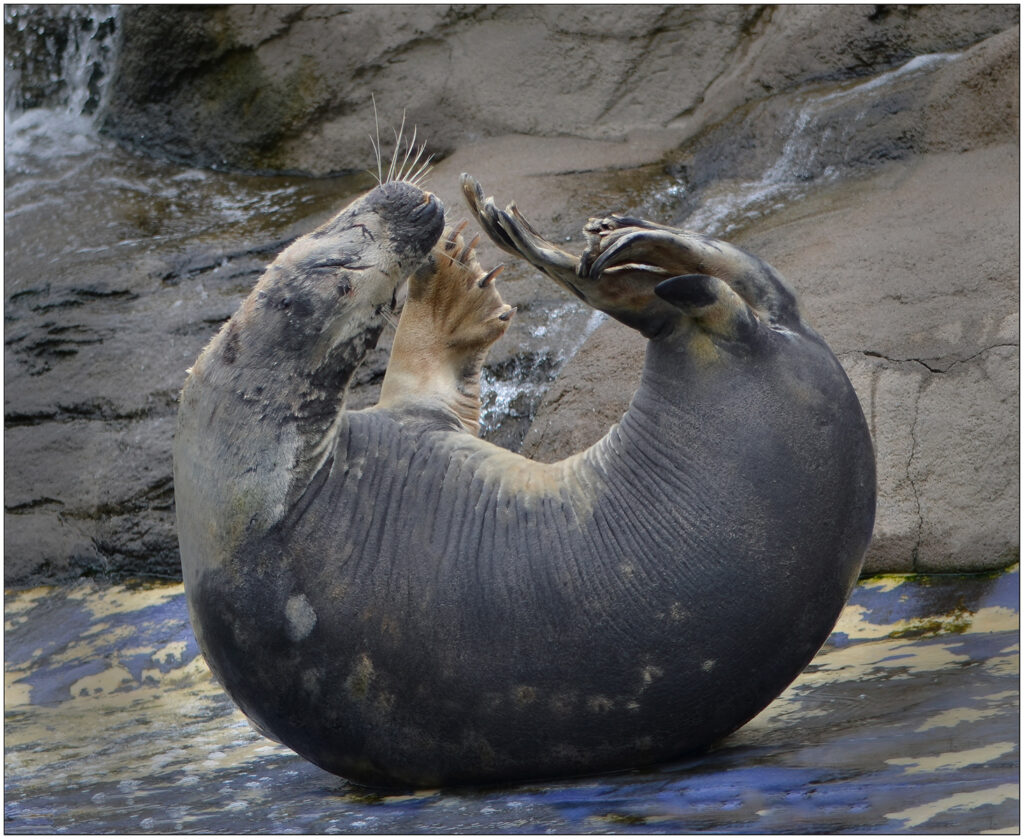 Touch Your Toes by Chris Chinnick