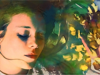 Painted Lady by Sadie Lee