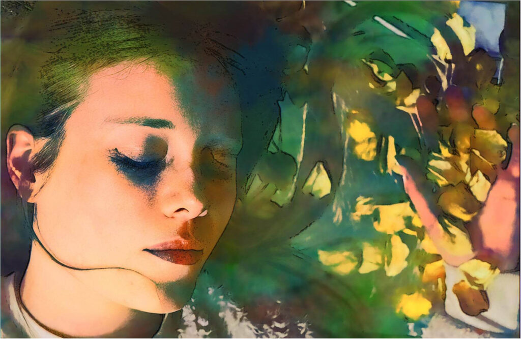 Painted Lady by Sadie Lee