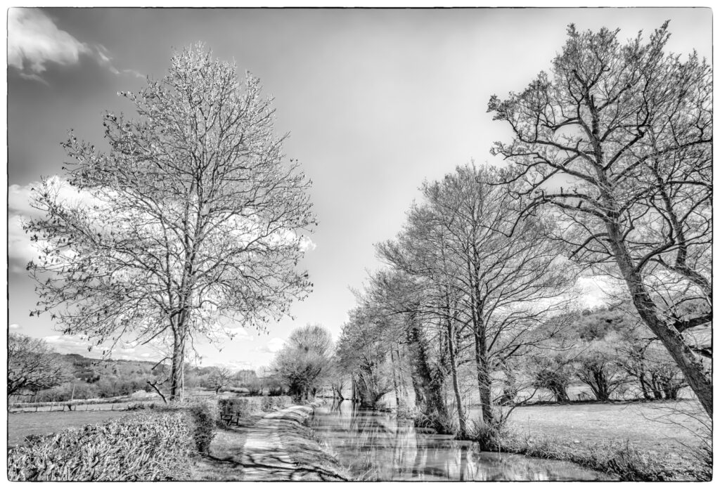 Beautiful Canal Light by Richard Payton