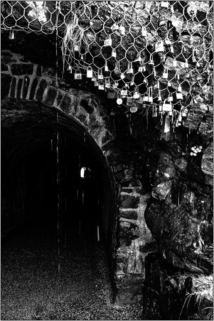 Is this the Tunnel of Love? by Steve Willcocks