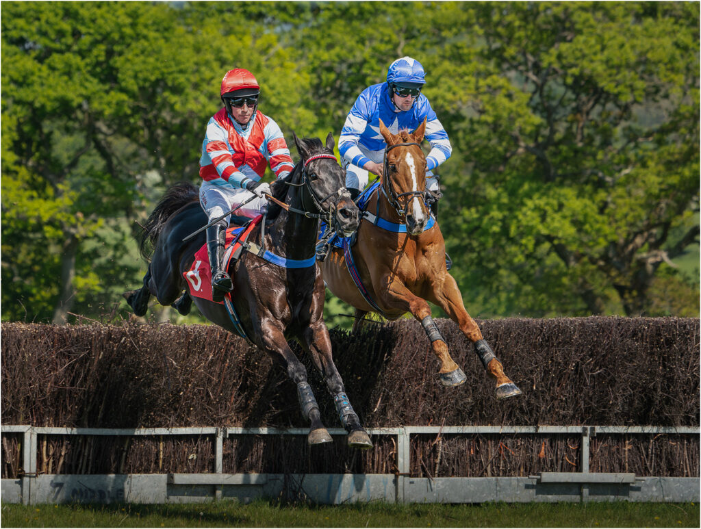 Neck & Neck by Niall