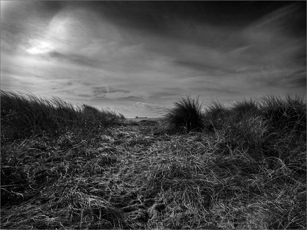 Sunny Interval by Steve Willcocks