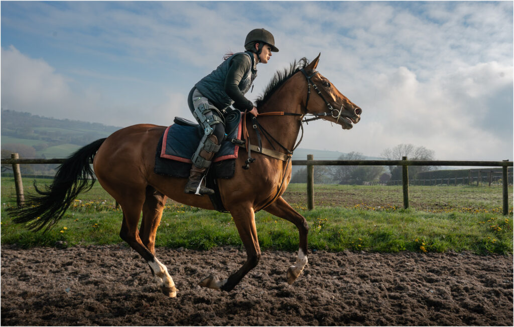 Morning gallop by Niall