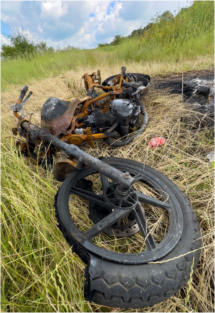 Joy ridden by Jane Saunders