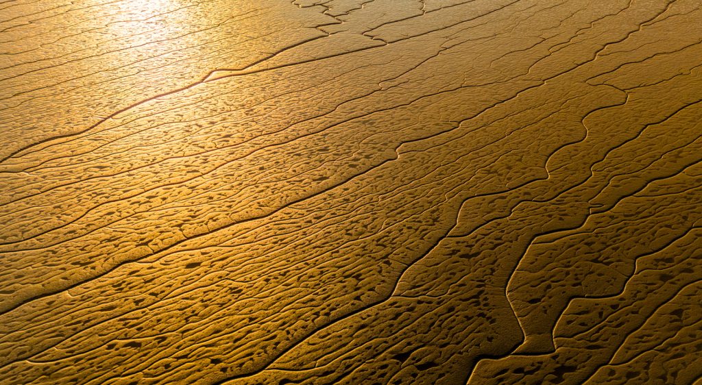 Mud by Richard Payton