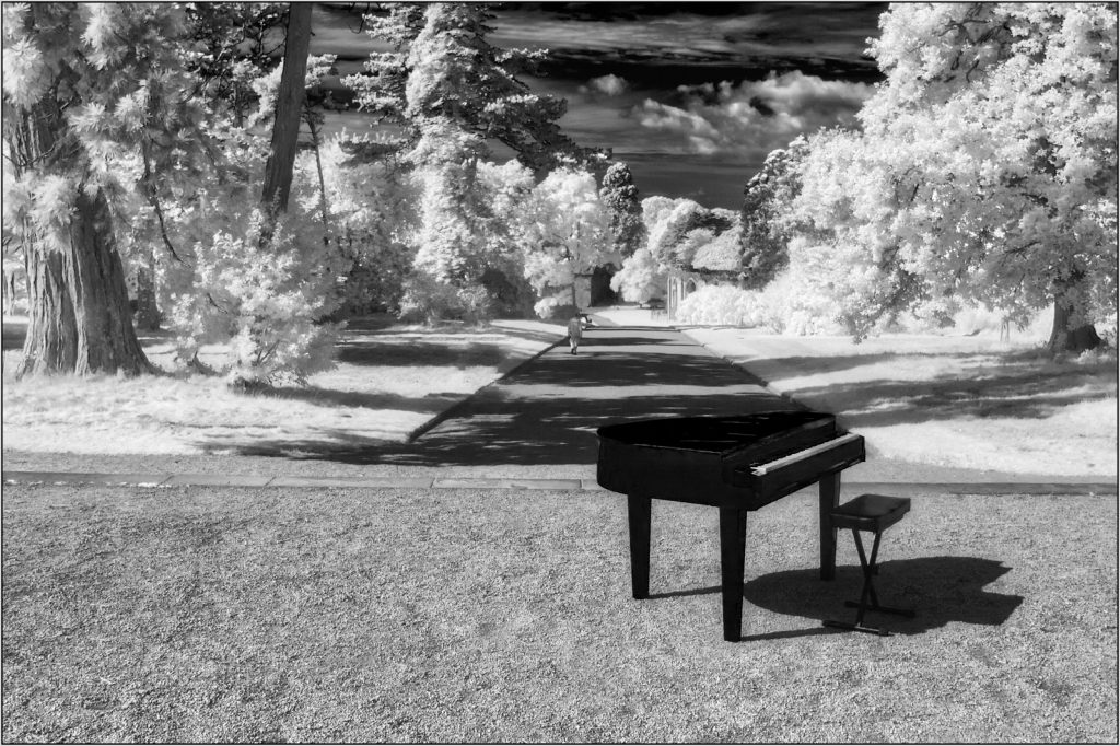 Piano at Margam by Trevor Waller