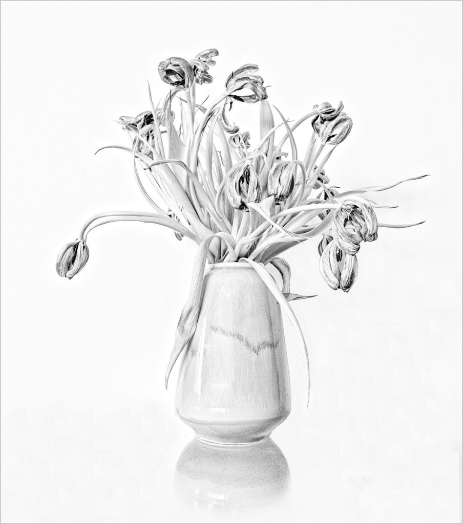 End of Life by Jeff Howe