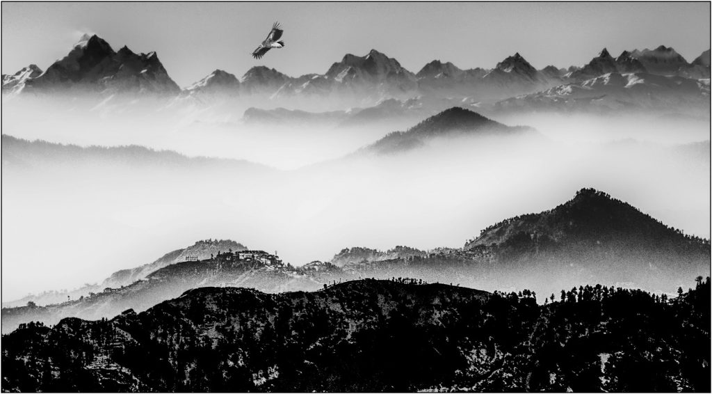 Himalaya foothills by Trevor Waller