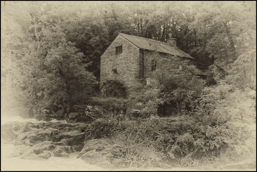 Flour by Tim Stephens