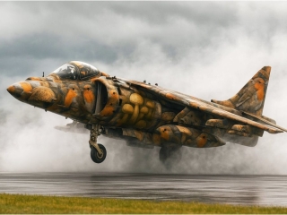 Harrier with Robins and Mushrooms by Jeff Howe