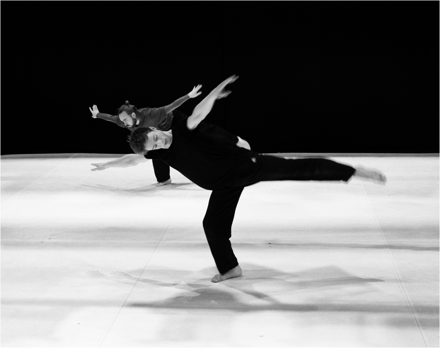 _Harmony_Tim Stephens