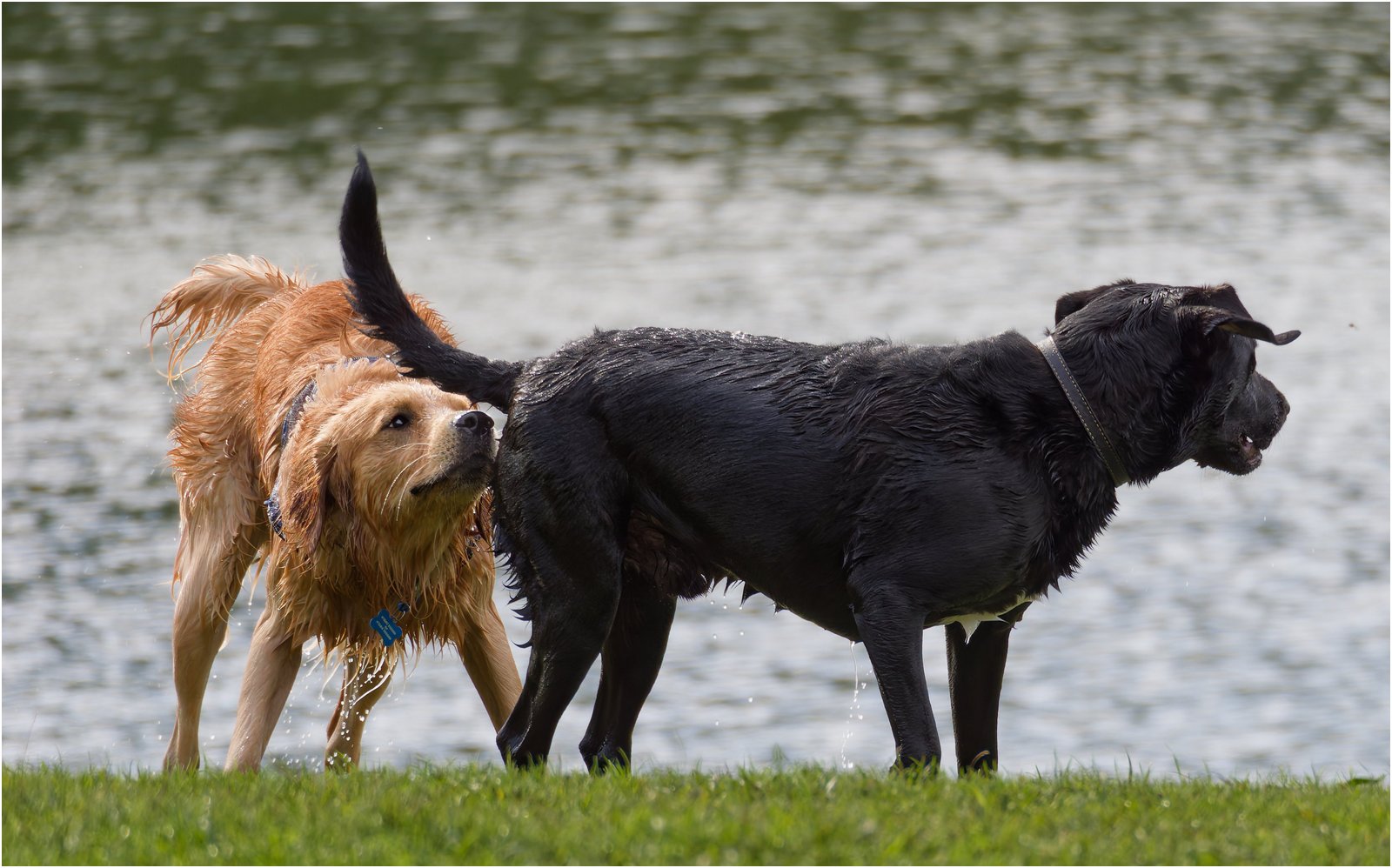 _Have we met_Jeff Howe