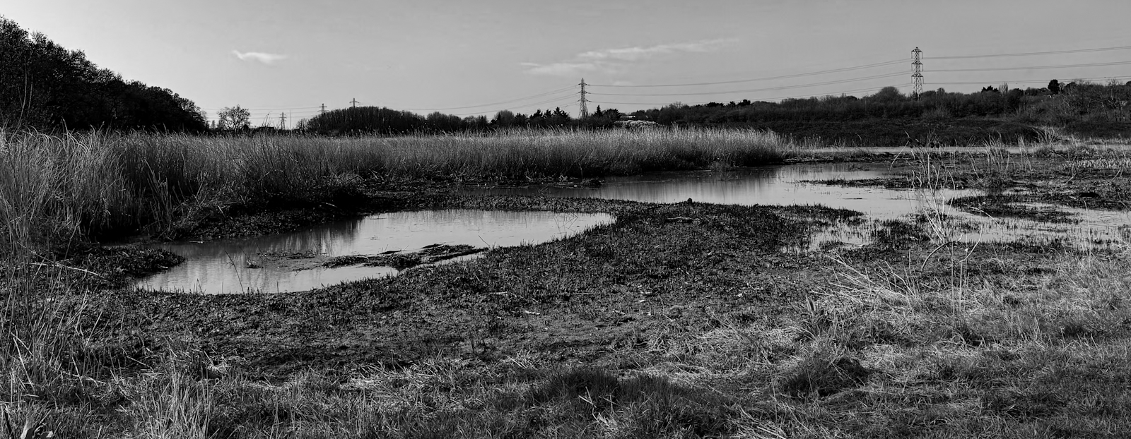 _Rumney river flood plain_Jane S