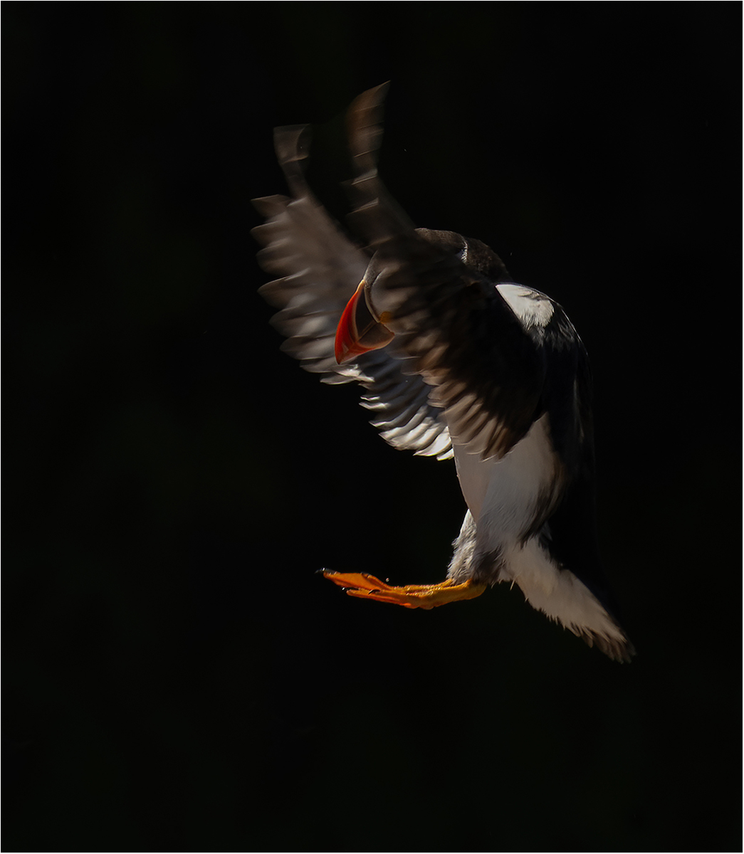 17-Landing Gear Down