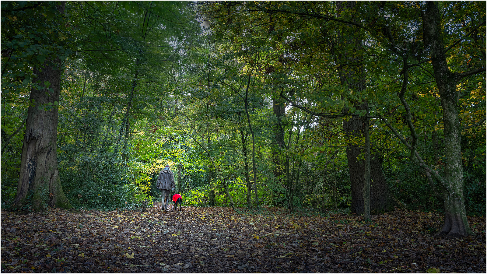 19_Walking the dog_Niall Saunders